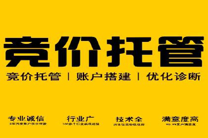 案例解读：托管竞价SEM助力企业转型